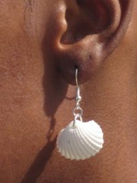 Medium White Scallop Shell Earrings
