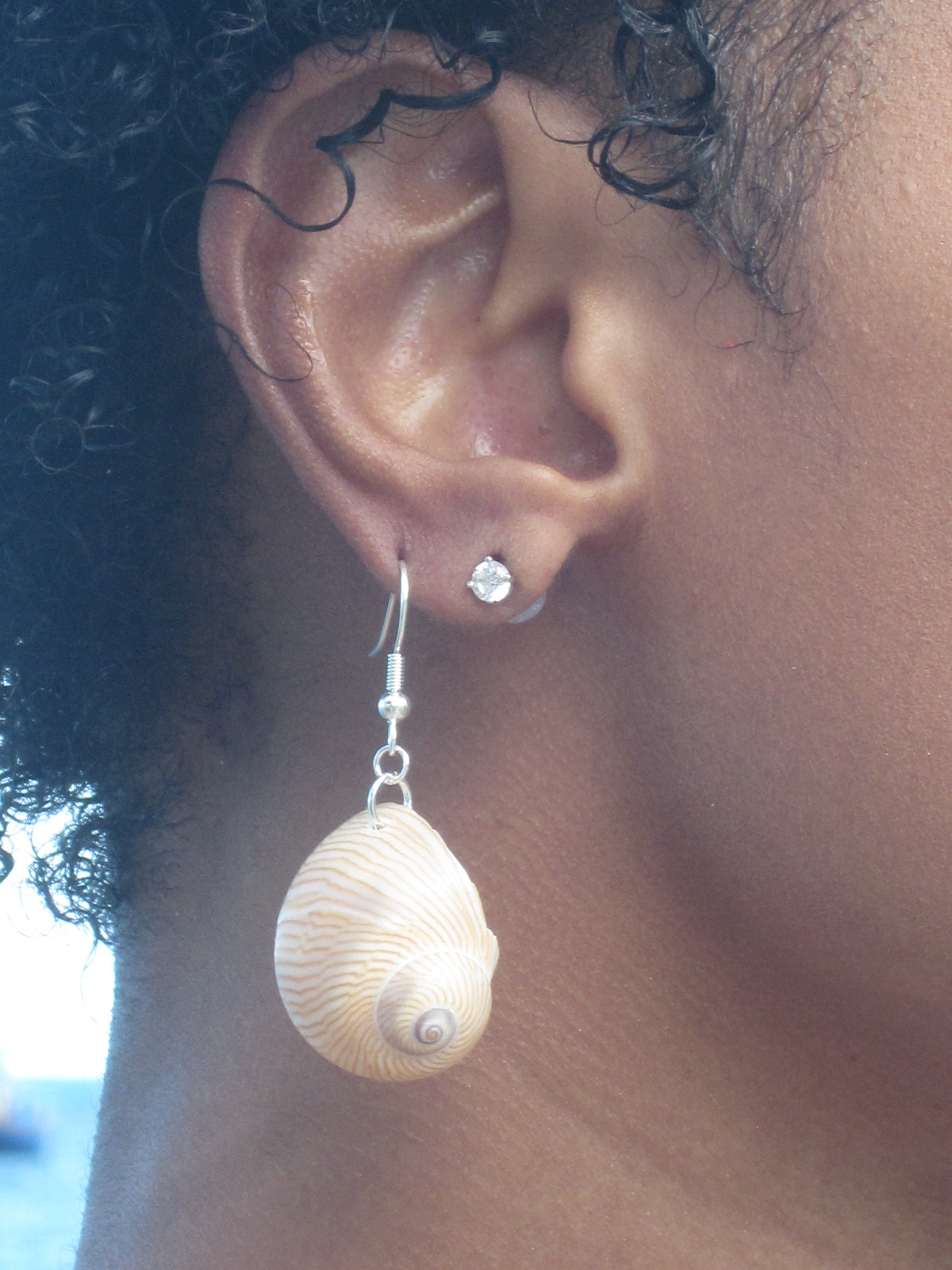 Stripe Shell Earrings